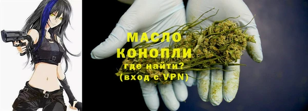 ECSTASY Богданович