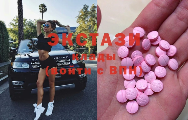 ECSTASY Богданович