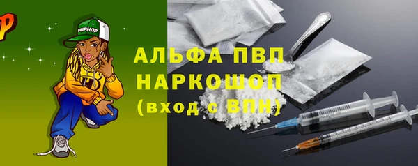 ECSTASY Богданович