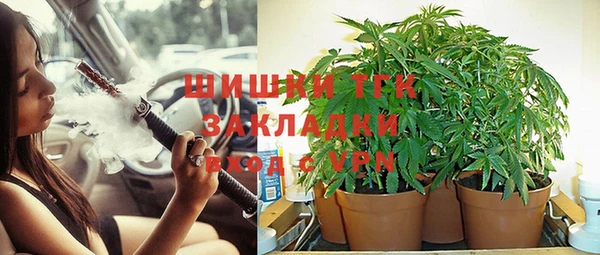 мескалин Богородицк
