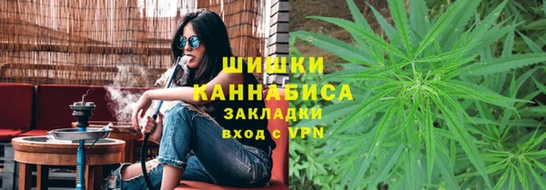 мескалин Богородицк