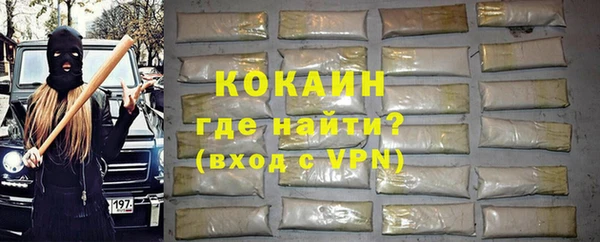 ECSTASY Богданович