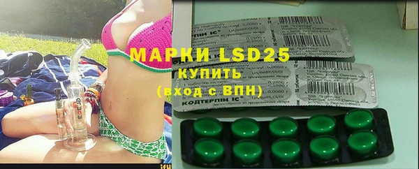 ECSTASY Богданович