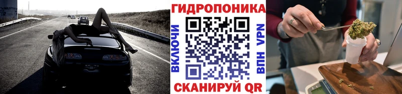 купить наркотики сайты  кракен ONION  Марихуана семена  Михайловск 